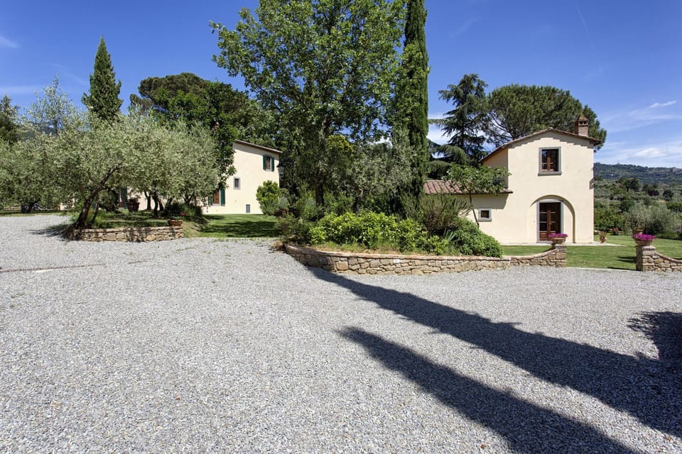 Garden and outdoor view