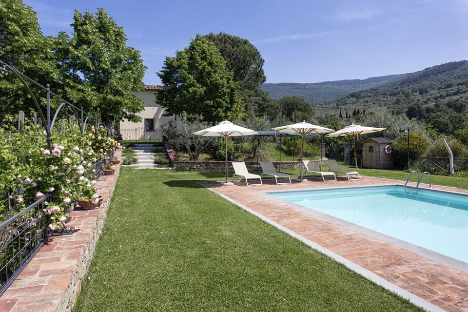 Swimming pool and garden