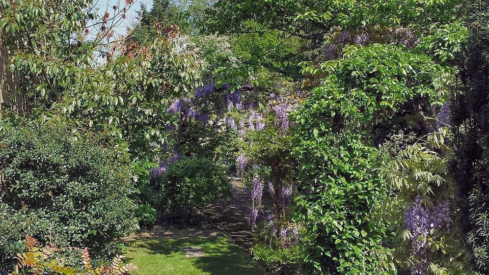 Cottage | Garden