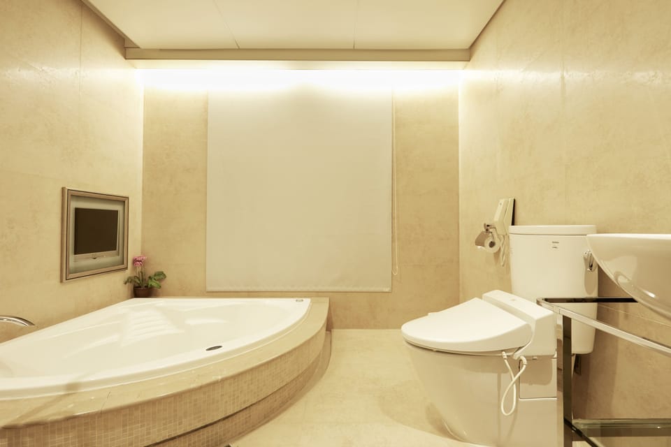 Separate tub and shower, hair dryer, slippers, electronic bidet