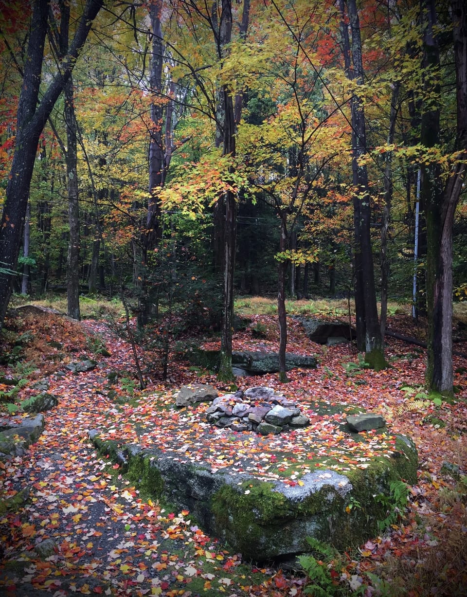 Autumn view from the deck
