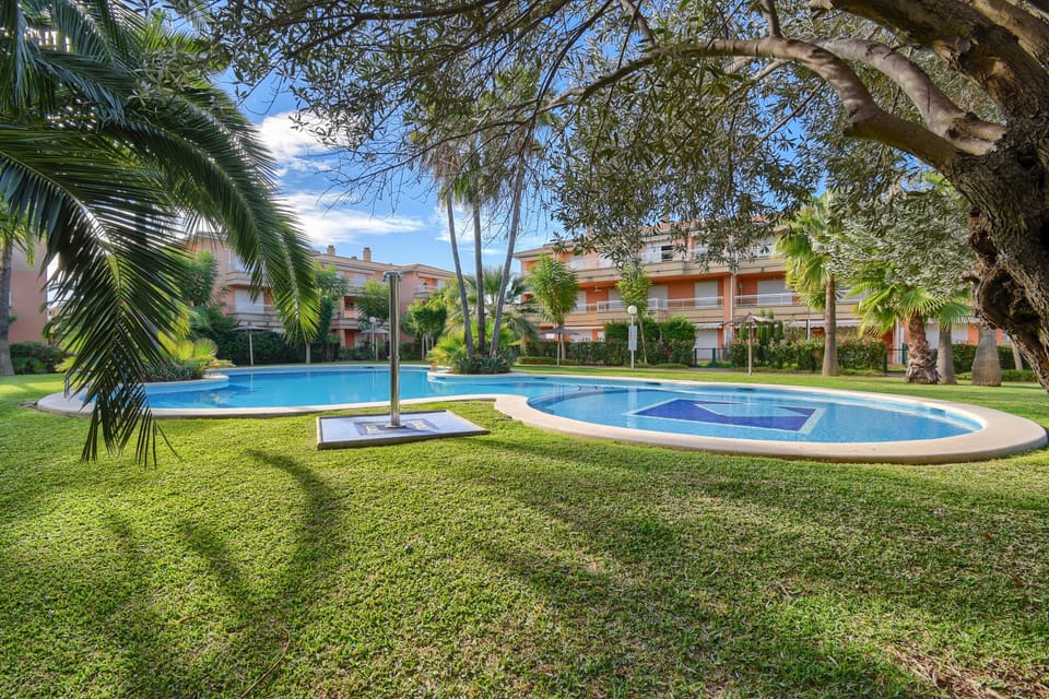 Garden and swimming pool