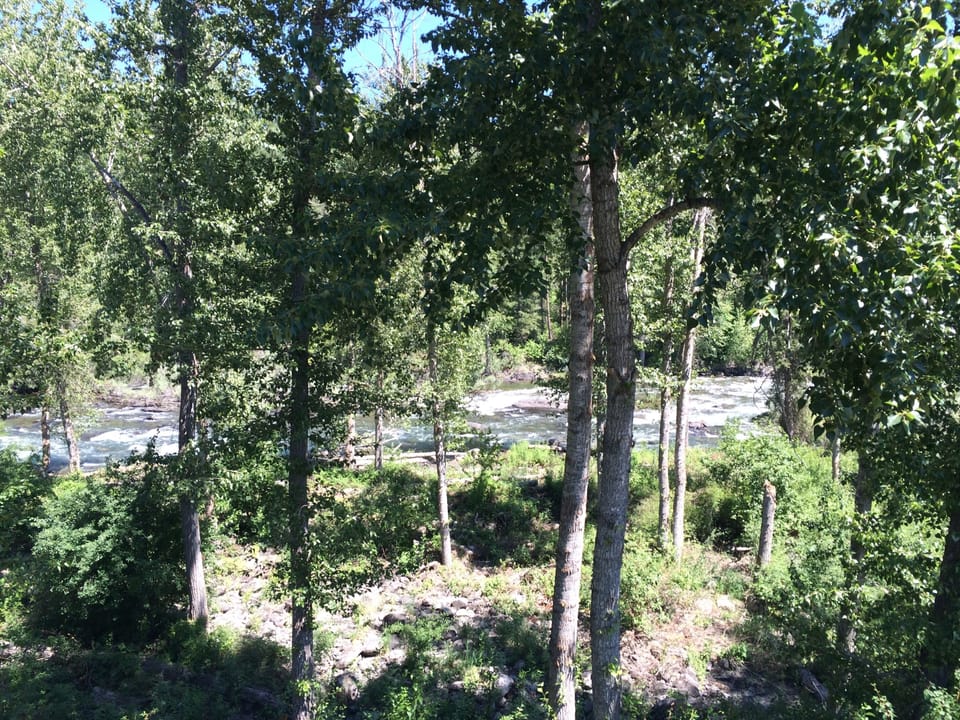 View from the deck in early summer