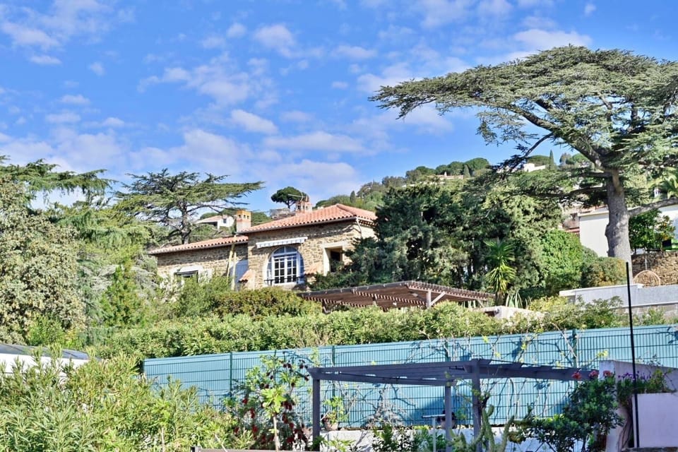 Classic Double or Twin Room, Garden View | View from room