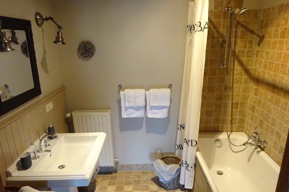 Double Room | Bathroom | Shower, hair dryer, towels
