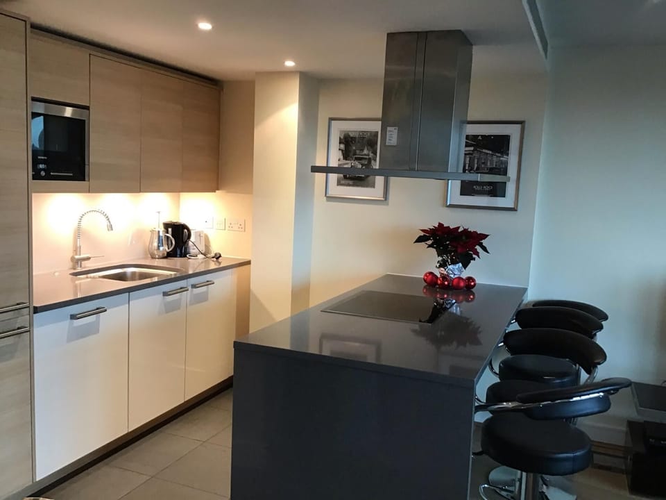 Full-size fridge, microwave, oven