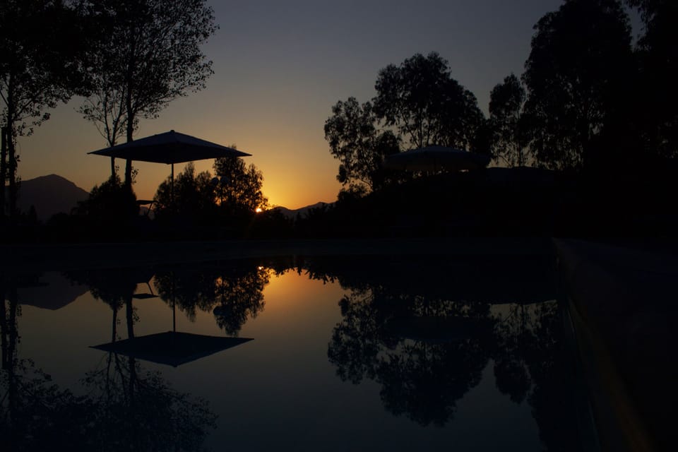 Seasonal outdoor pool, open 10:00 AM to 6:00 PM, pool umbrellas