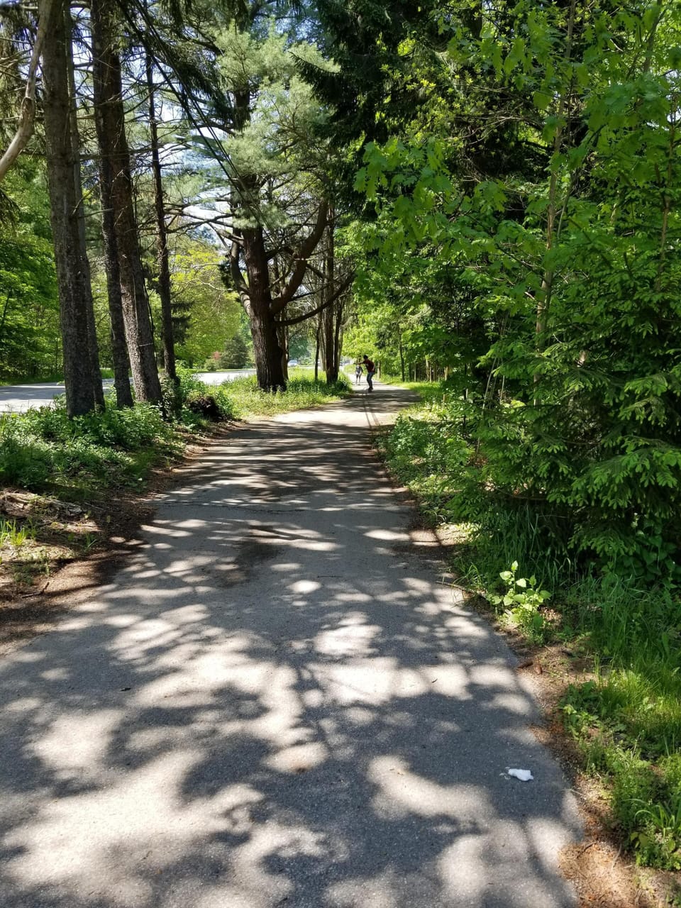 Stroll along this beautiful path to downtown Saugatuck. Steps from your door.