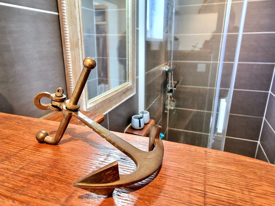 Hand-held showerhead