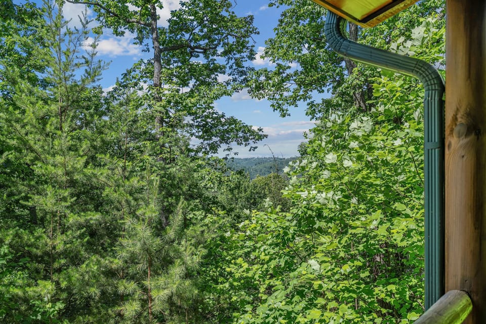 Cabin, 3 Bedrooms | View from property