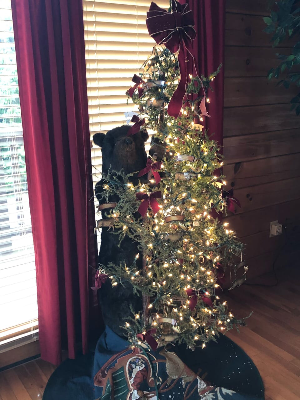 Moose Crossing is always decorated for Christmas by mid- Nov. 