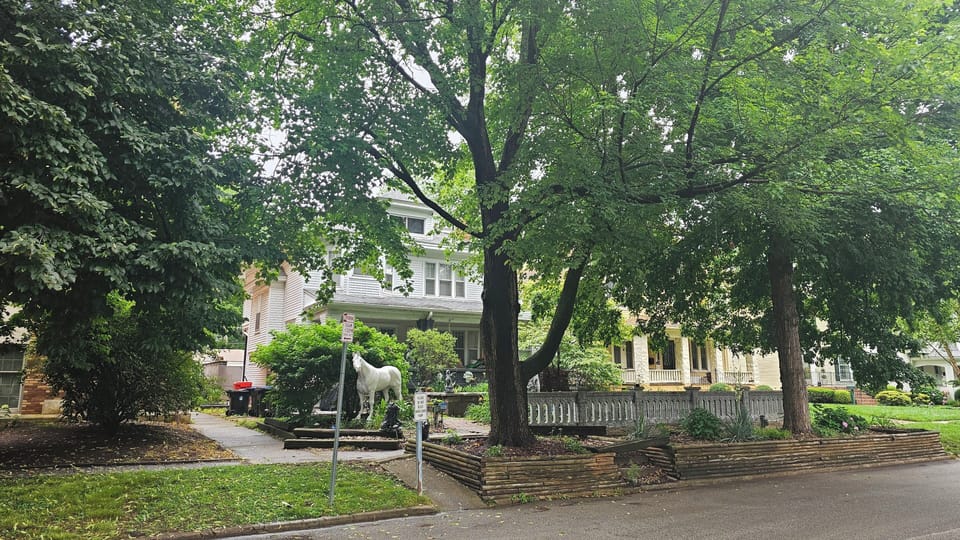 View from the front