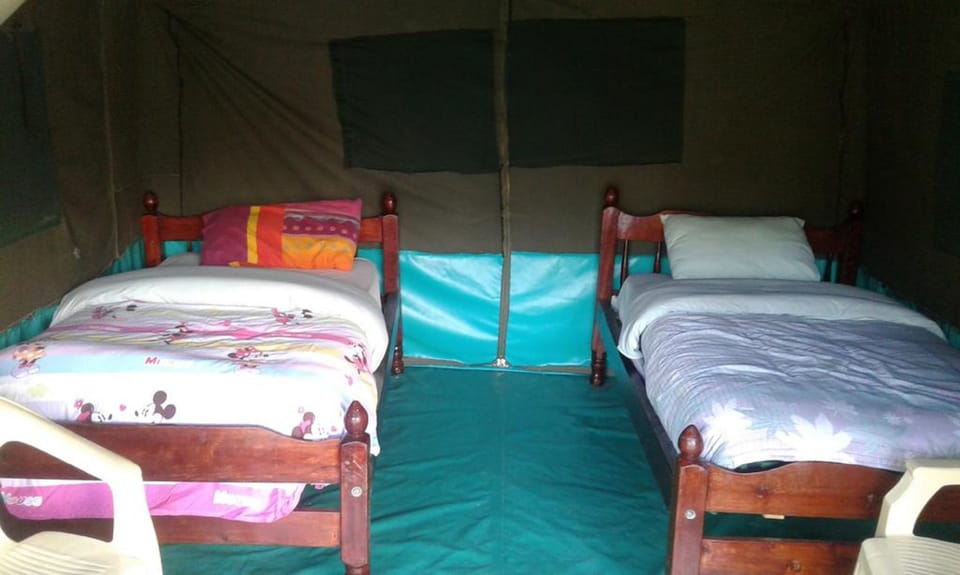 Tent | Desk, bed sheets