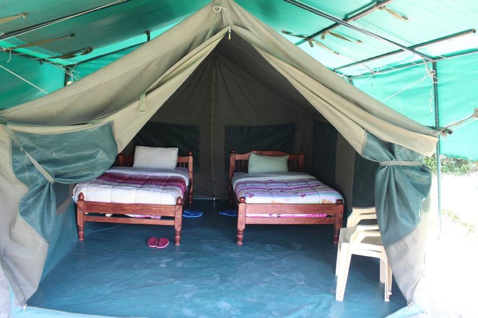 Tent | Desk, bed sheets