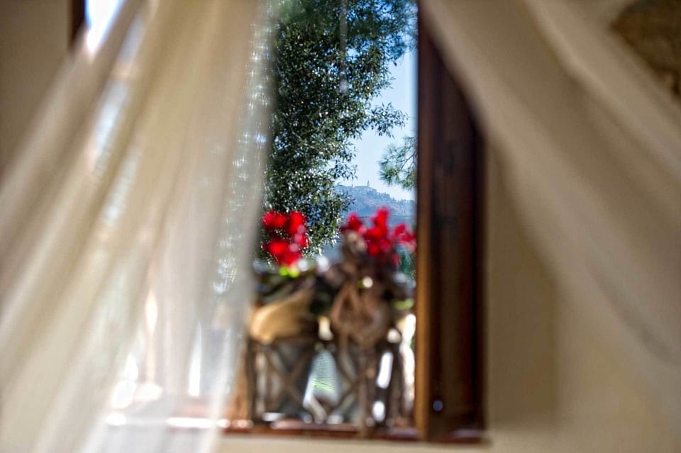 Standard Apartment, 1 Bedroom | View from room