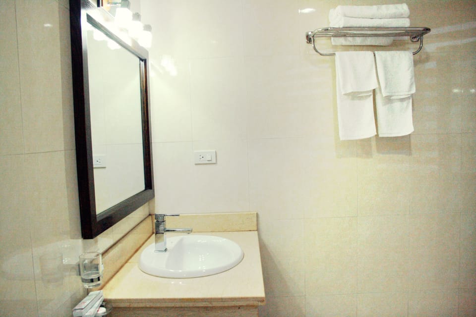 Deluxe Single Room | Bathroom | Shower, free toiletries, hair dryer, towels