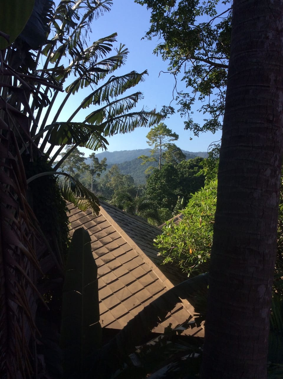 view from master bedroom