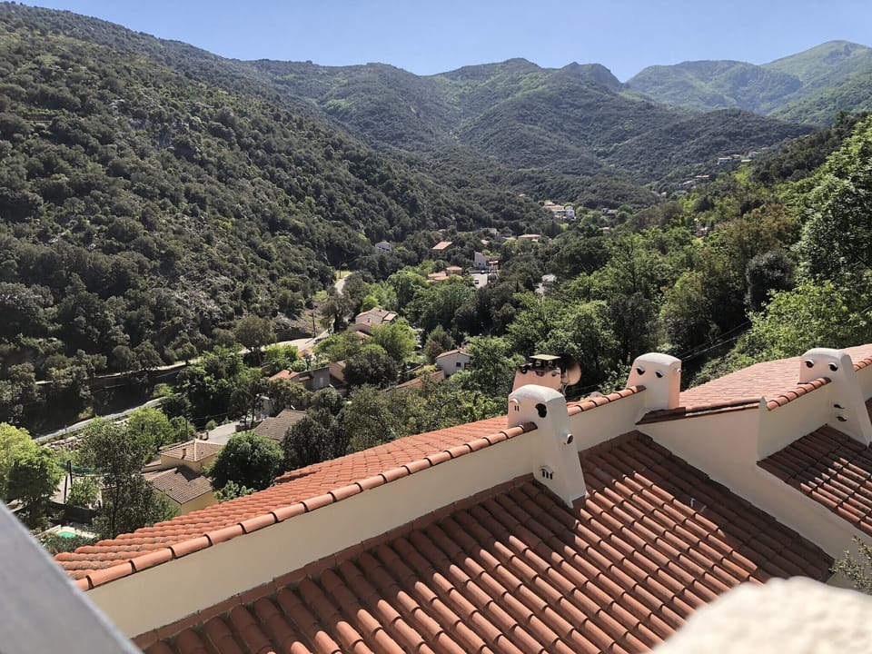 View from Holiday Home [summer]
