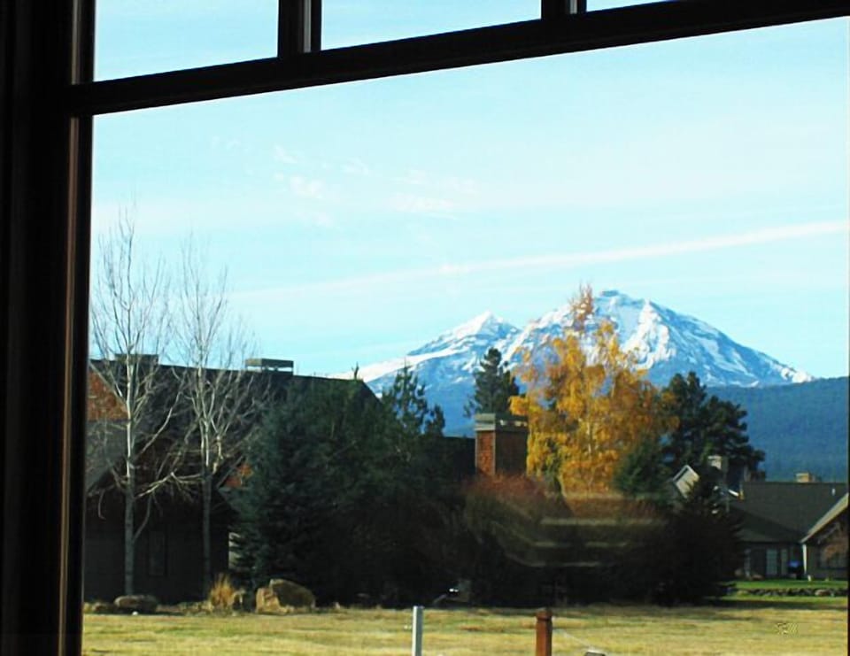 View from Dining Table 