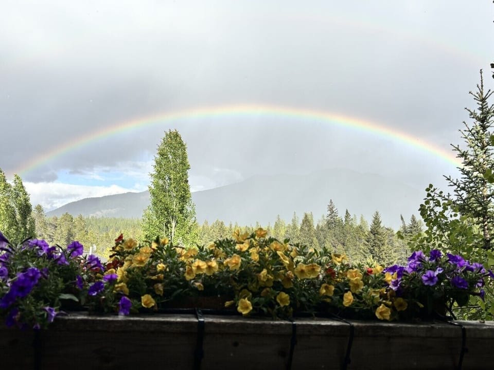 View from the deck after some light rain