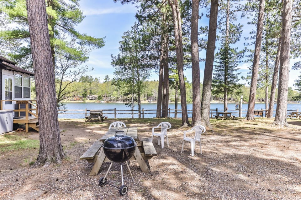 Great view of the lake and tall trees and enjoy the outdoors.
