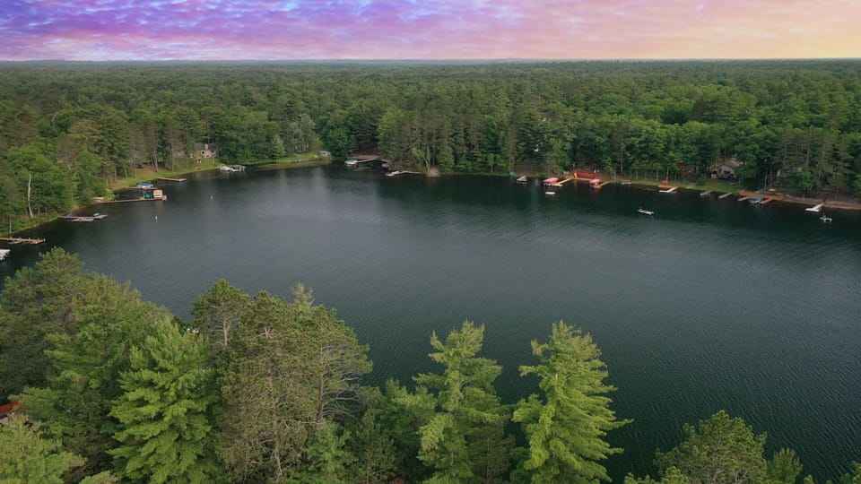 There is never a bad evening in the woods