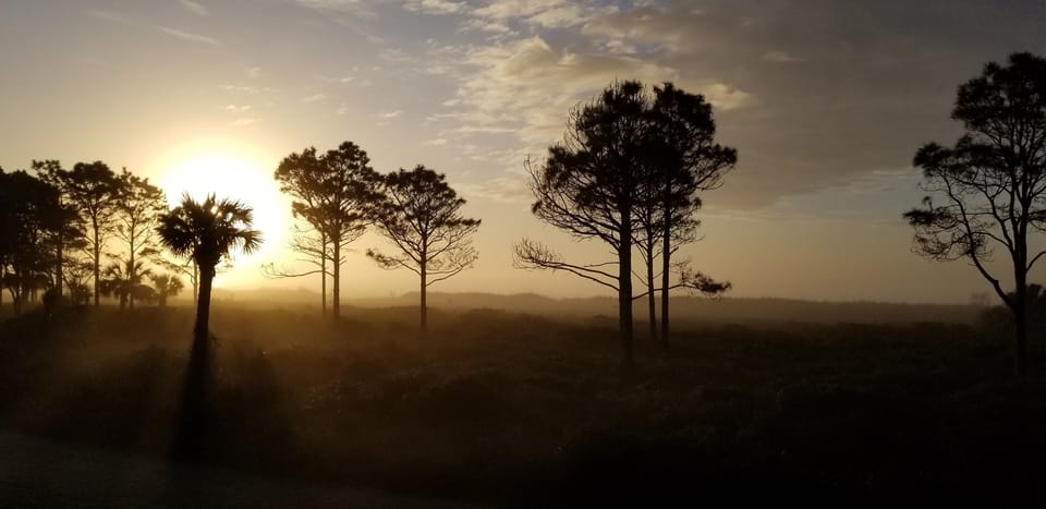 Morning glory. Early sunrise views directly from our window.