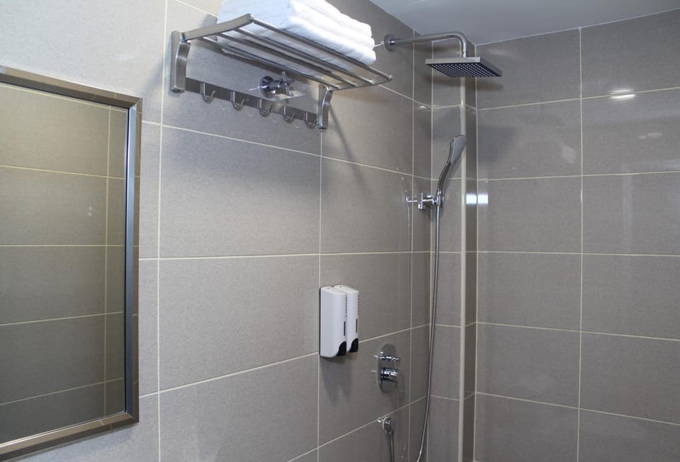 Deluxe Double Room | Bathroom | Shower, free toiletries, towels