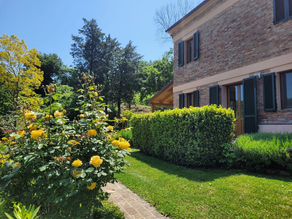 Garden and Rear of House