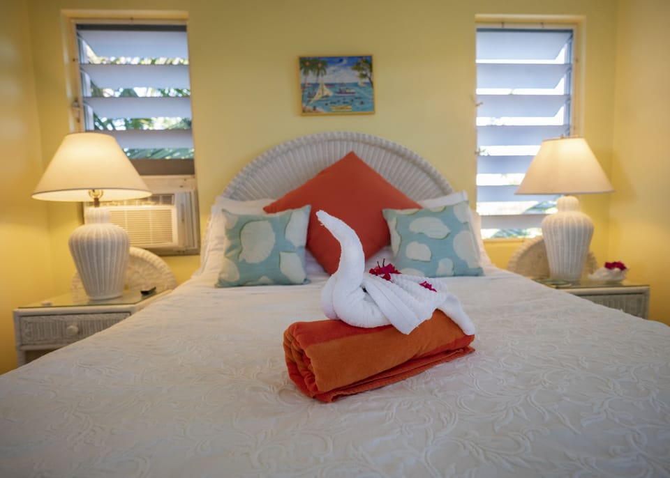 Queen sized bed with A/C and ceiling fan