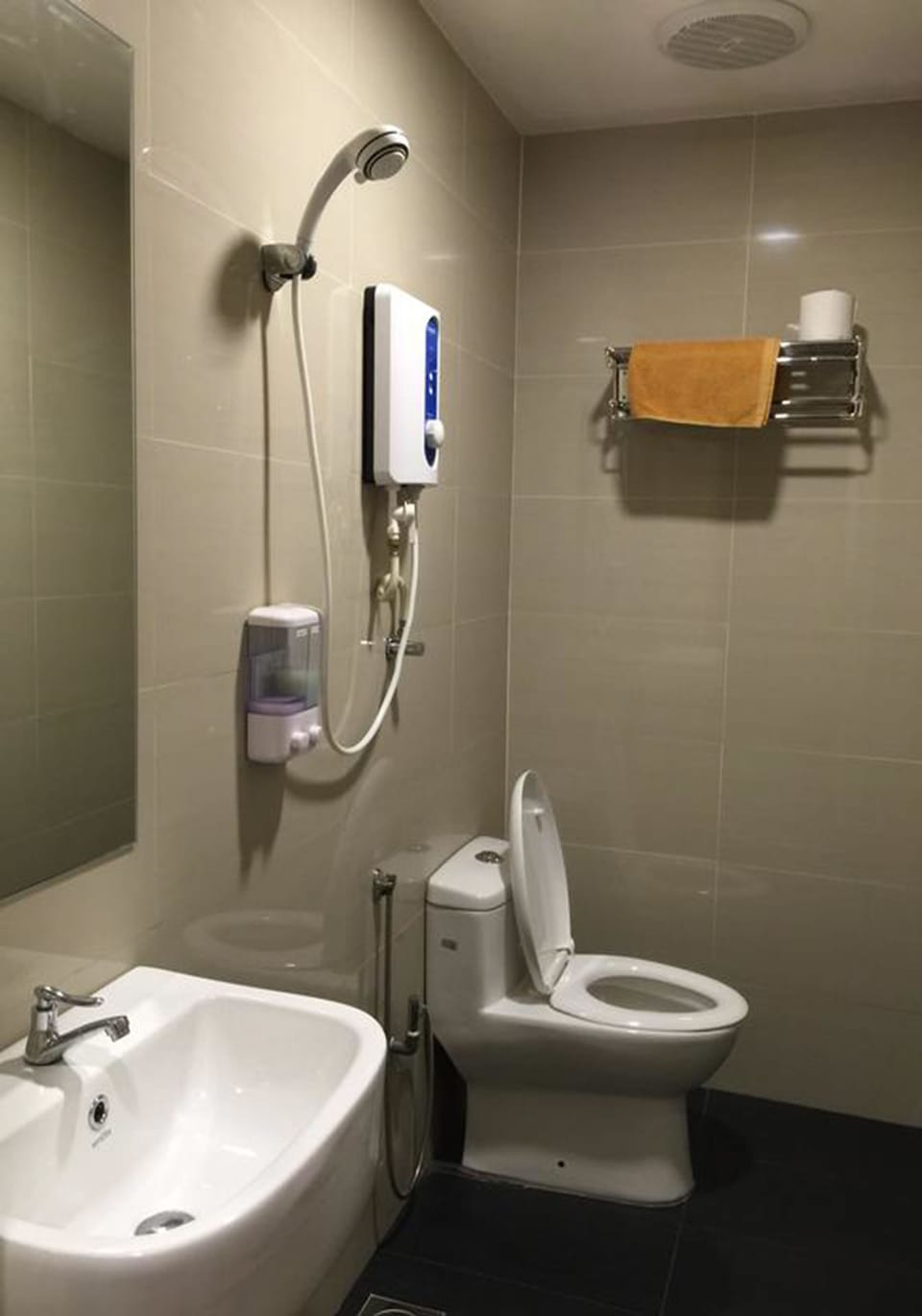 Deluxe Room | Bathroom | Shower, free toiletries, towels