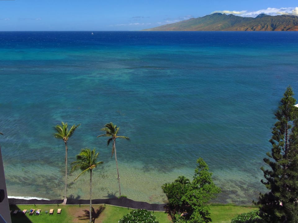 View from the Lanai looking down.