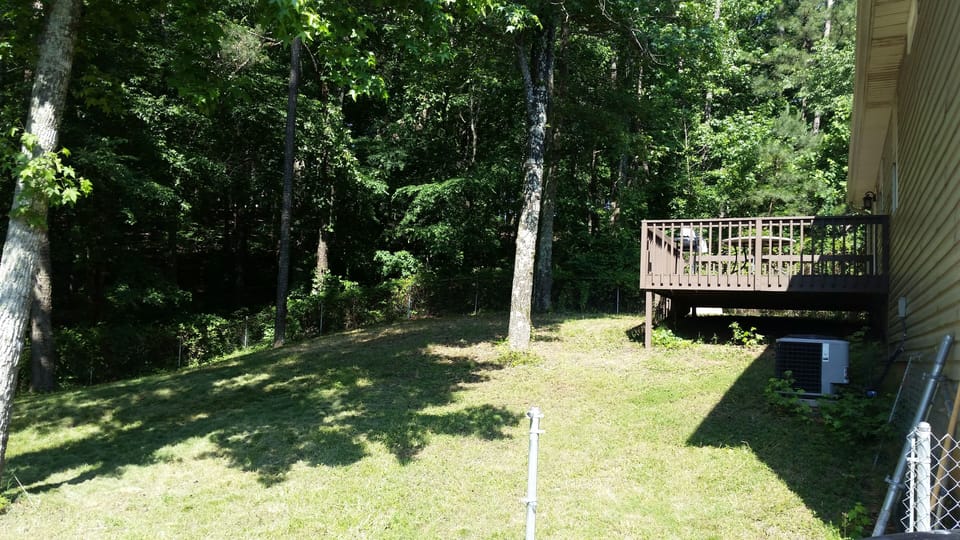 Back Yard 