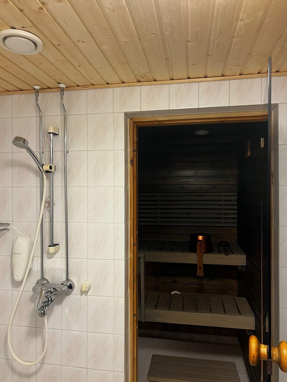 Studios with Sauna | Bathroom | Hair dryer, towels
