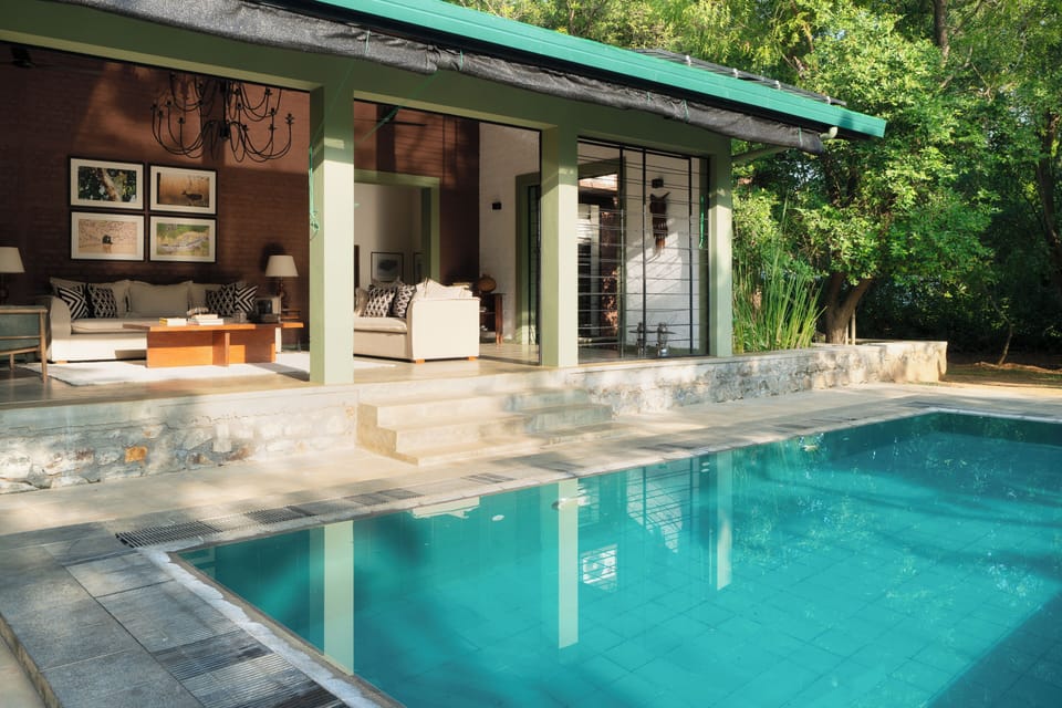 Outdoor pool, sun loungers