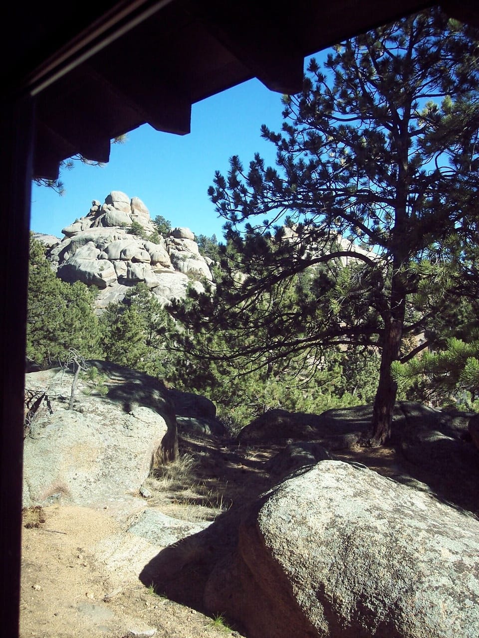 View to the northeast from the living room windows