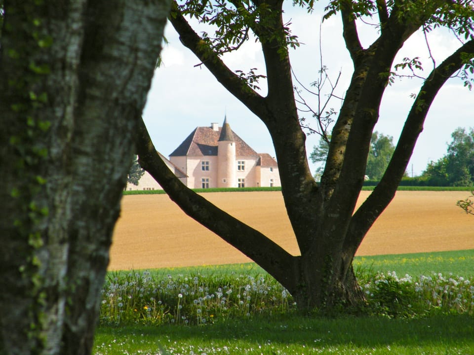 Moux Manor