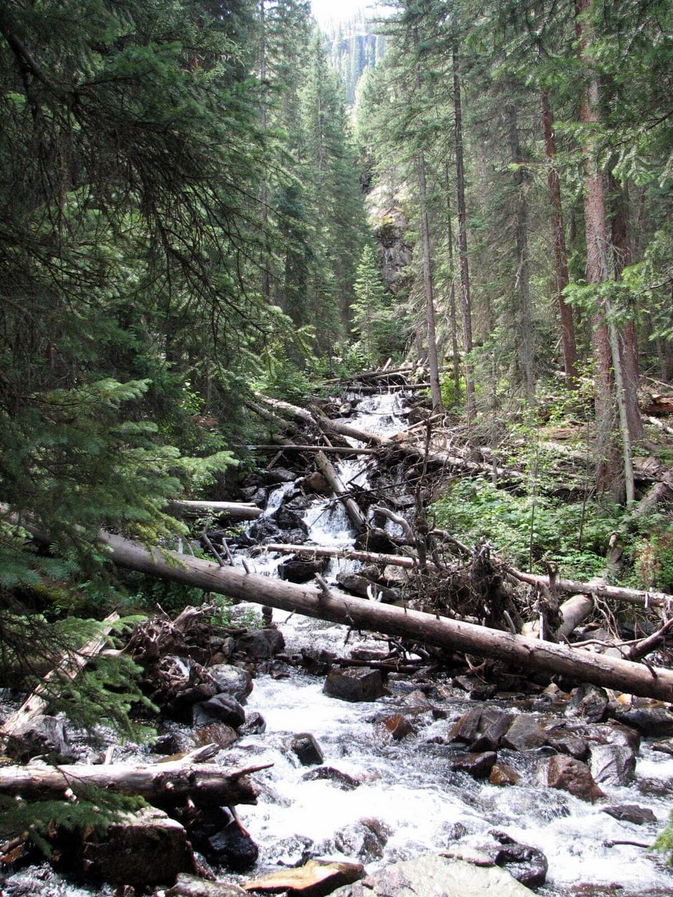 Hiking trails can be found throughout Summit County.