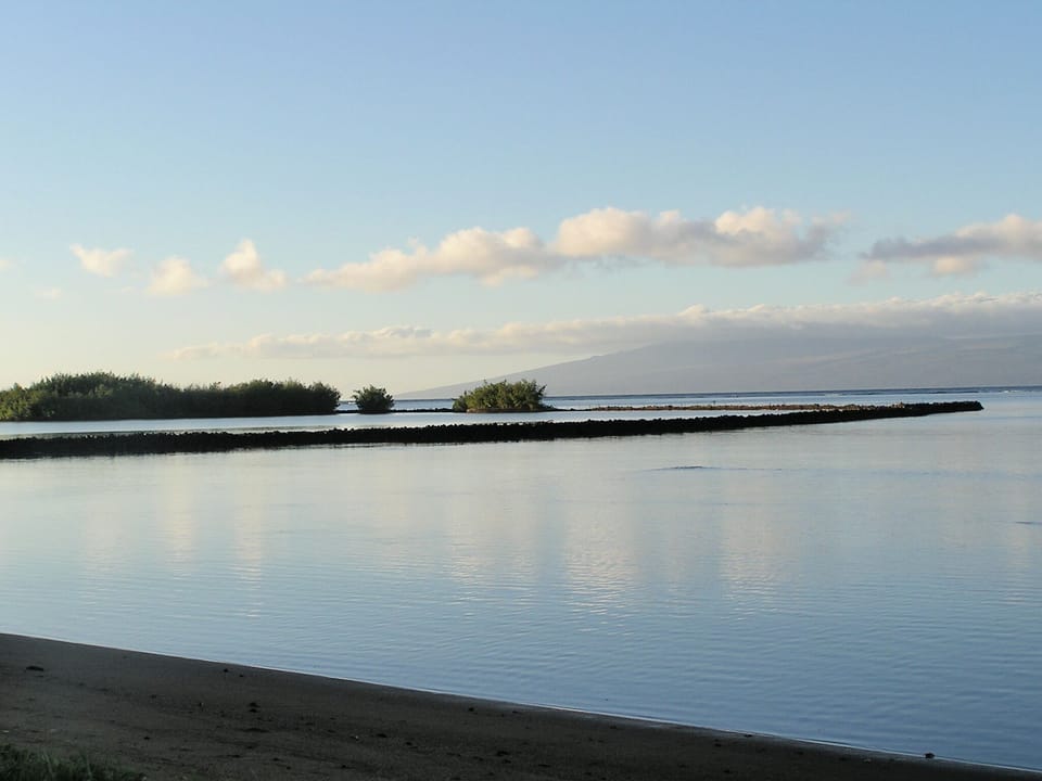 Stillness... with little fish jumping out of the water of pure joy
