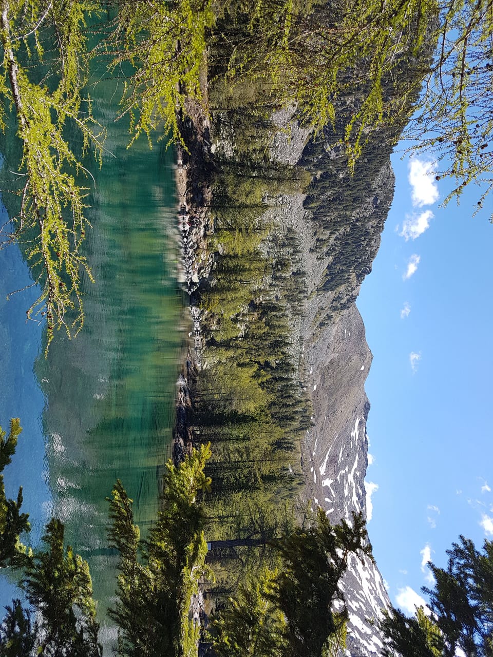Hiking