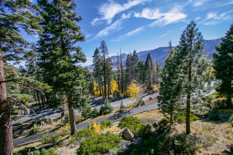 Condo, 3 Bedrooms | Miscellaneous