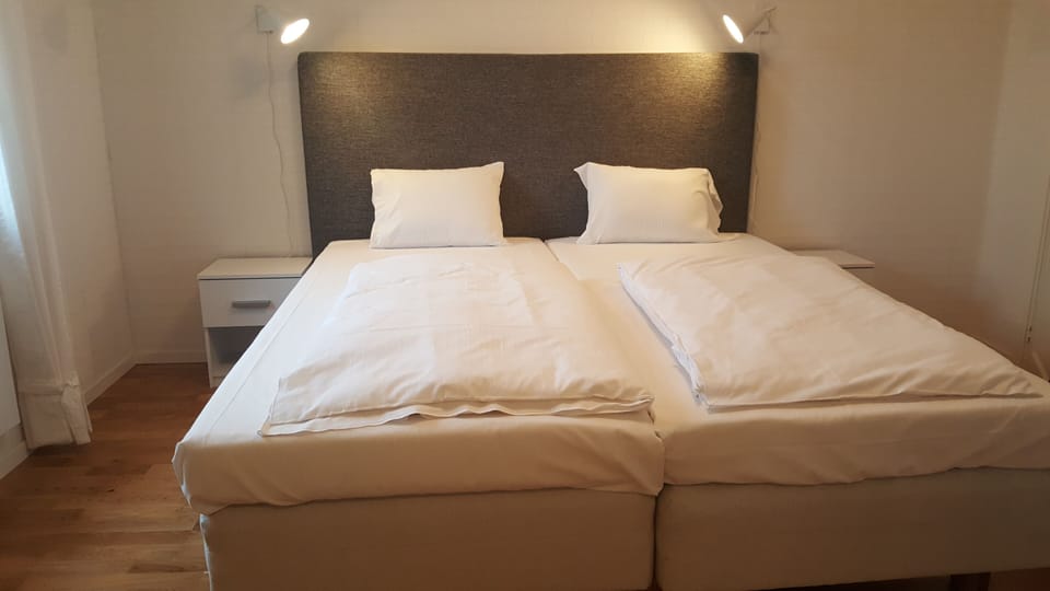 Deluxe Double Room | 1 bedroom, premium bedding, down comforters, pillowtop beds
