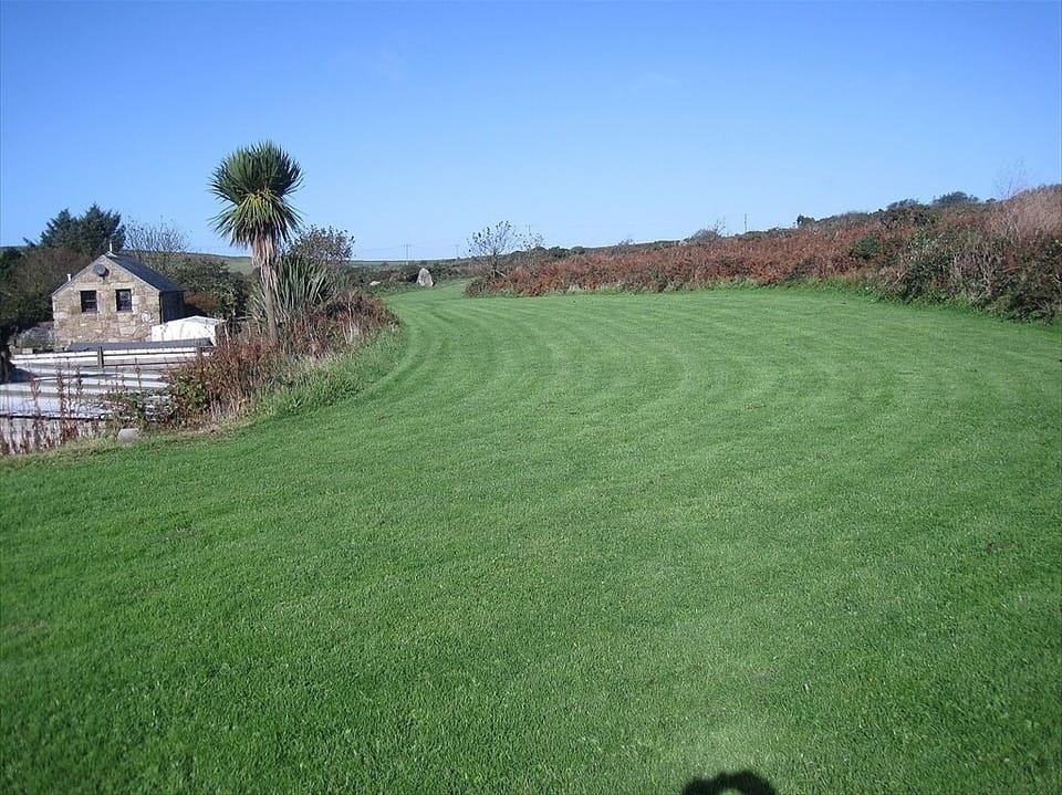 Top lawn