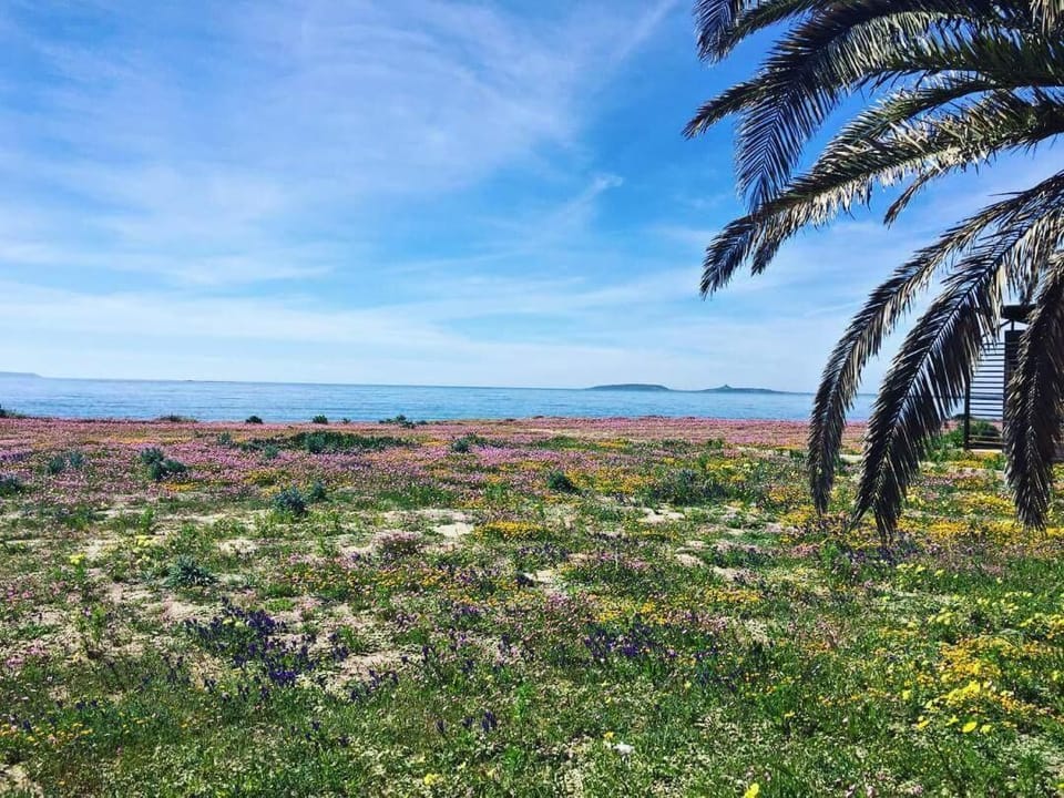 On the beach, white sand, snorkeling, water skiing