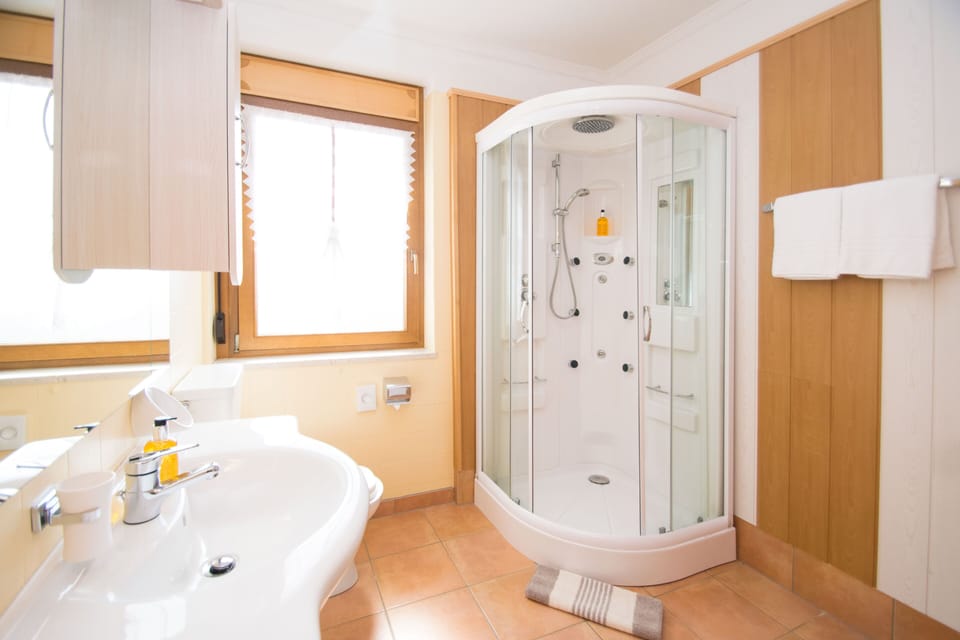 Shower, free toiletries, hair dryer, bathrobes