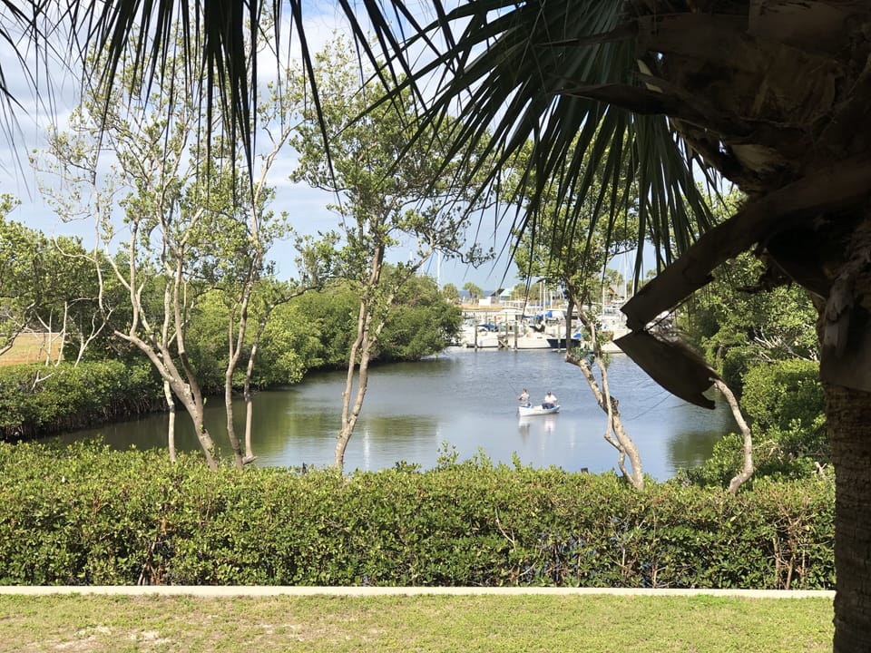 View from master bedroom