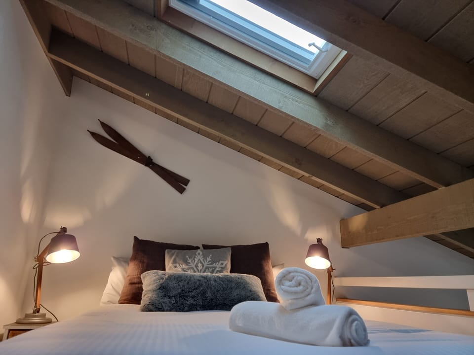 Bedroom loft with skylight and shade