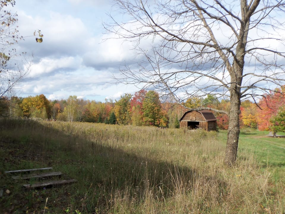 back fields in fall