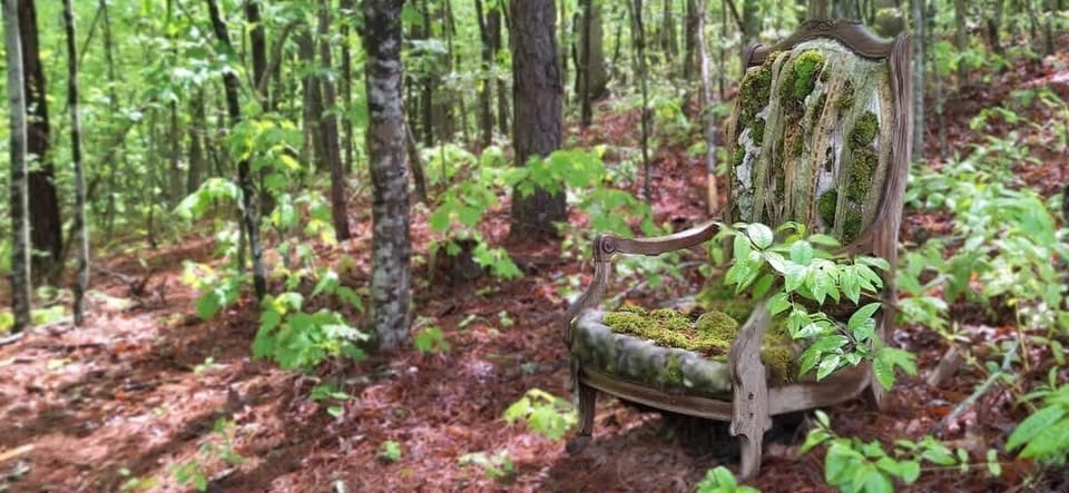Nature is Soooo Cool!