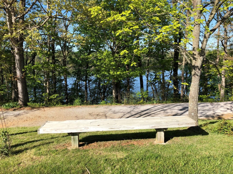 bench with lake views